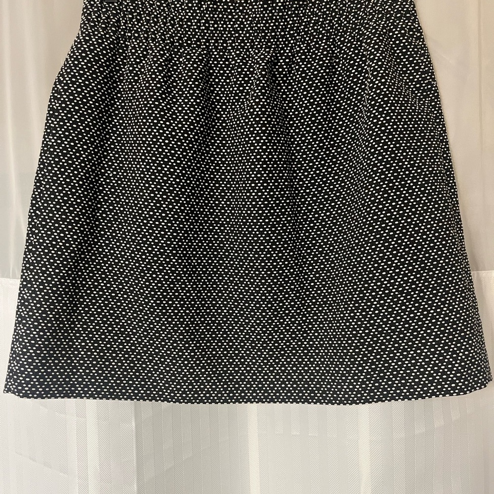 Brand New with Tags J CREW Skirt size 6